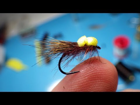 Tying a Chocolate Brown Balloon Caddis with Davie McPhail