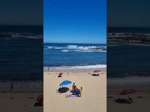 Isla Negra - El Tabo. Febrero 2026. #eltabo #islanegra #valparaiso #verano #vacaciones #febrero2026 