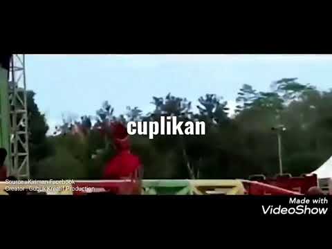 Alwi Kolaka | Bocil Viral | juara Bintang Vocalis Kab. Kolaka