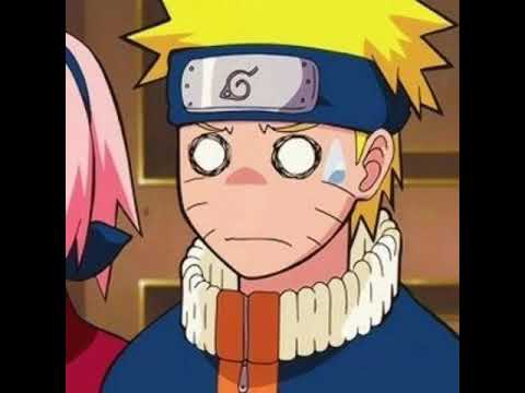 Finalmente o rato comeu esse pão envenenado