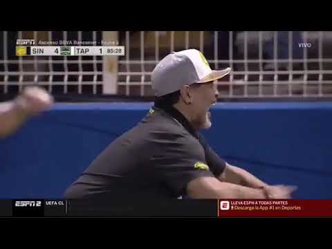 EL TREMENDO FESTEJITO DE DIEGO MARADONA TRAS LA VICTORIA DE DORADOS