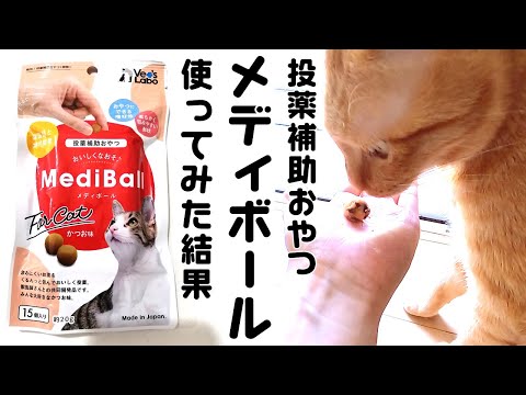 猫用ドキシサイクリン:用量、使用法、禁忌