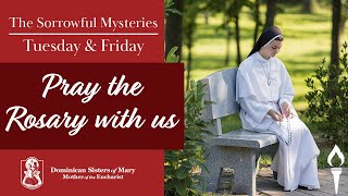 Pray the Rosary | The Sorrowful Mysteries | Sisters of Mary, Mother of the Eucharist