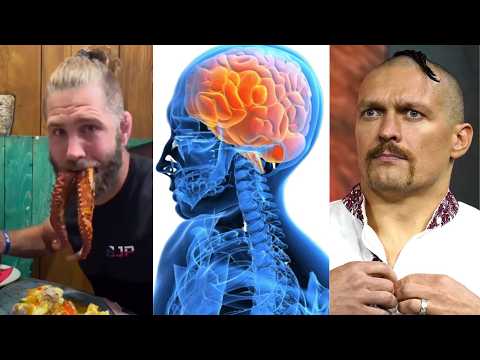 Brain Damage from MMA vs Boxing