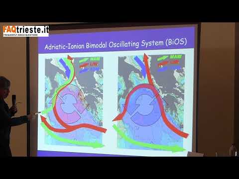 Cambiamenti climatici a livello globale 7 Intervento Paola Del Negro