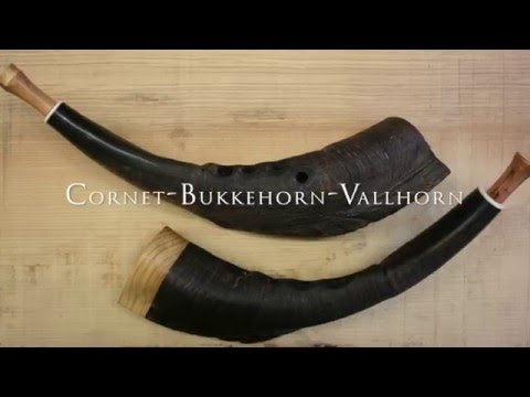 Cornet-Bukkehorn-Billygoat horn