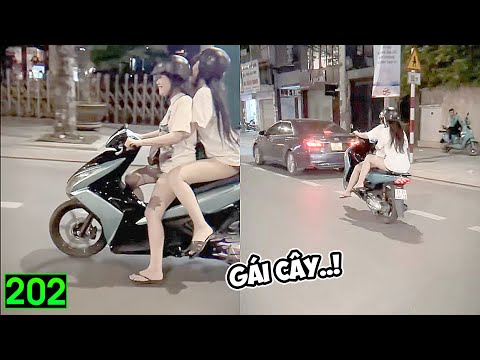 Tin Việt 2025 Mới Nhất | Những Thằng Ngu Nhất Hành Tinh Cười Vỡ Bụng ( P202) ✔