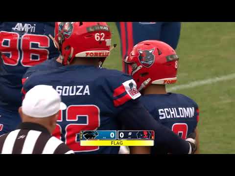 HIGHLIGHTS: Hamburg Sea Devils dominieren die Panthers Wroclaw