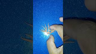 Download lagu claycraft aida❤️❤️#clayart#art#foryou#diy#creativeclayideas mp3