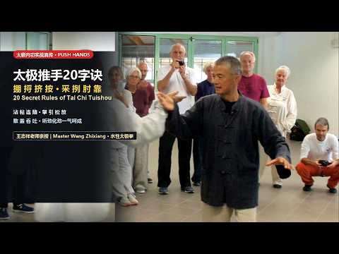 Tai Chi Push Hands Combat Mastery: Complete 20-Word Formula Decoded