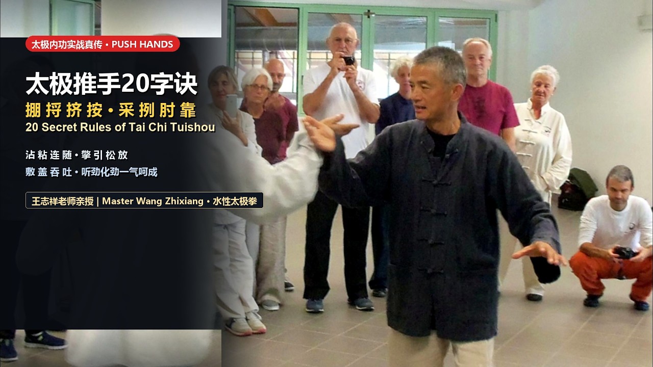 Tai Chi Push Hands Combat Mastery: Complete 20-Word Formula Decoded