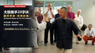 Tai Chi Push Hands Combat Mastery: Complete 20-Word Formula Decoded