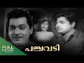 Panchavadi Malayalam Full Movie Prem Nazir Vijayasree Adoor Bhasi Amrita Online Movies