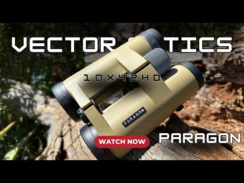 Бинокль Vector Optics Paragon 10x42 Roof - фото 1 - id-p3138747562