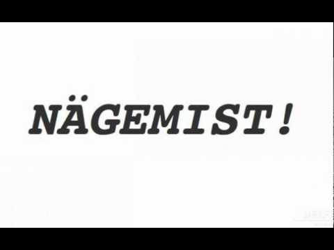 Stupid F & Hash - Nägemist