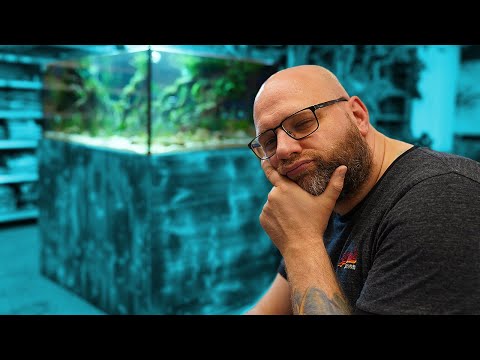 ROOMTOUR 07/2020 - Aquarium Rundgang