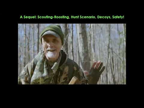 NC Wildlife Turkey Hunting: Intro to Techniques & Strategies