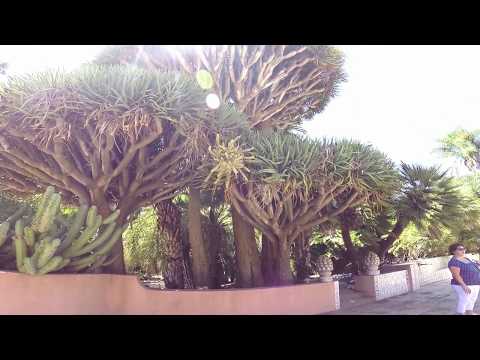 Lotusland and Our Stay at San Ysidro Ranch