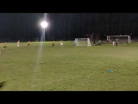 Video-Miniaturansicht