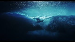 Jack Johnson  * Only The Ocean * Official Video