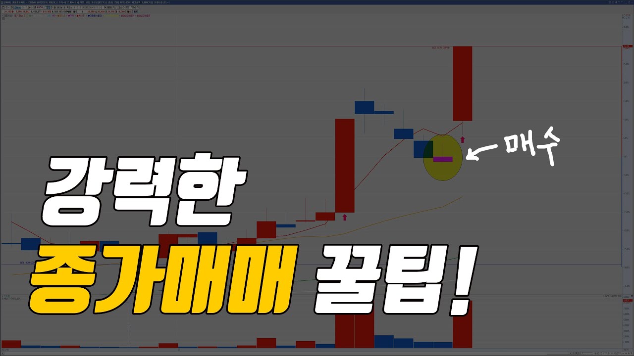 종가매매 종목선정방법, 급등주를 잡는 종가매매 꿀팁!!