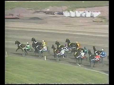 Svenskt Travderby 1991 - Sans Rival / Erik Berglöf