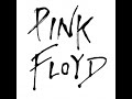 Pink Floyd - Pigs (Three Different Ones) Lyrics on screen