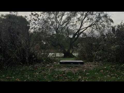 Letting Go (Acoustic) -Brandon Bloom