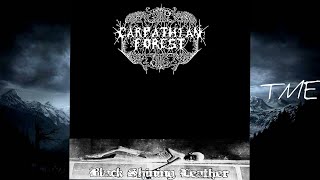 06-Pierced Genitalia -Carpathian Forest-HQ-320k.