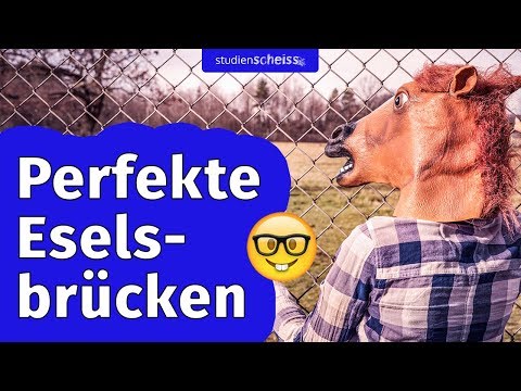 So baust du dir die perfekte Eselsbrücke fürs Lernen