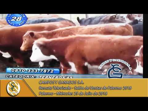 25-07-18 Ventas - Campos y Ganados S.A. - Remate TV - Palermo
