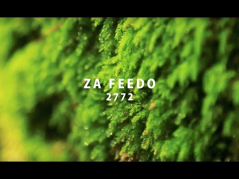 2772 – ZA FEEDO / ザ・フィード