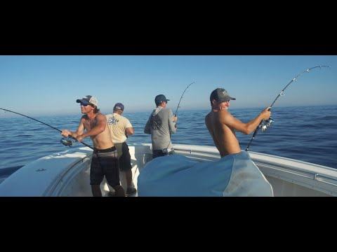 TackleDirect Pro Staff Series: Tuna Mayhem ft. Shore Catch Guide Service