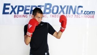 How to Throw an Uppercut