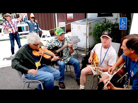 Julian Fiddle and Pickin' Contest
