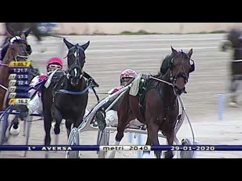 Aversa trotto 29 Gennaio 2020 - 1° Corsa
