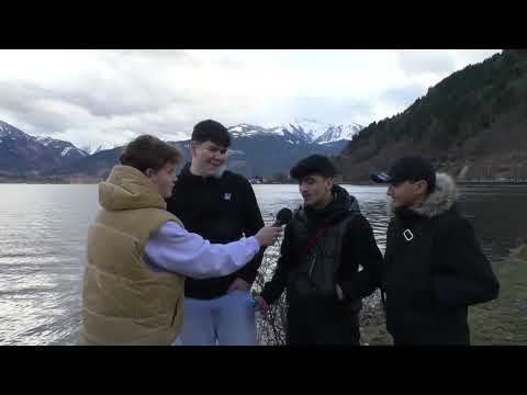 Lernfilmstudios  Nikotin