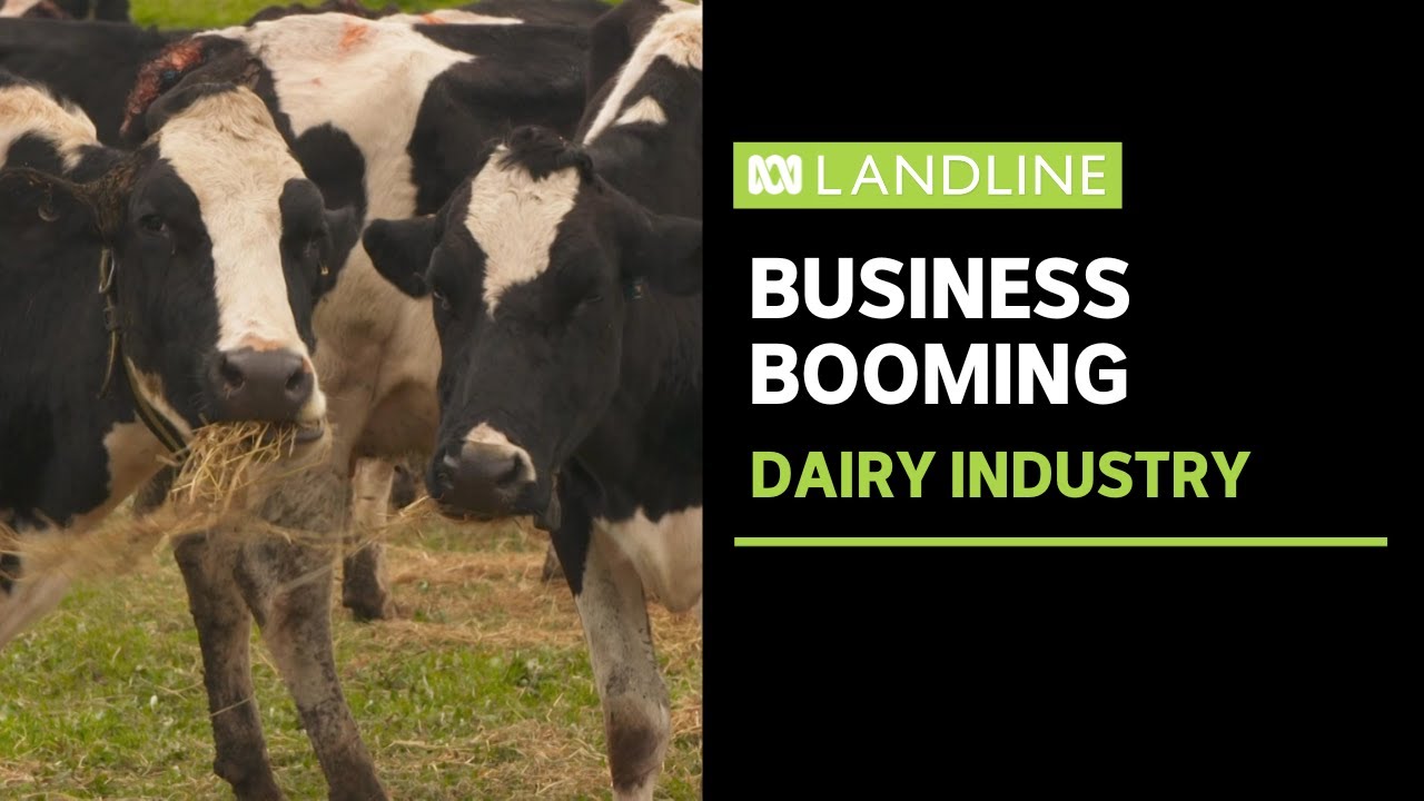Australia's dairy industry is booming | Landline | ABC News