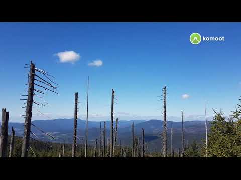 MTB-Tour  Verrückt Bescheuert Tour Frauenau Rachelsteig Waldschmidthaus Klingenbrunn  #MyKomootStory