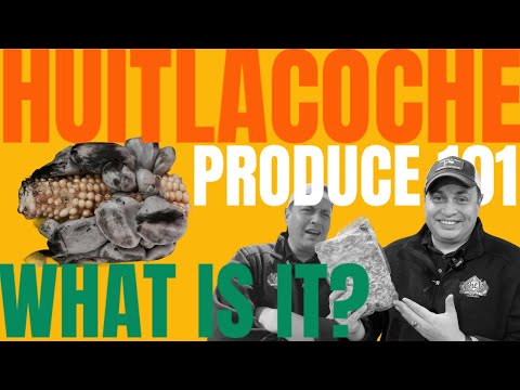 What is #Huitlacoche?#Produce101[Chefs' Produce Co.]