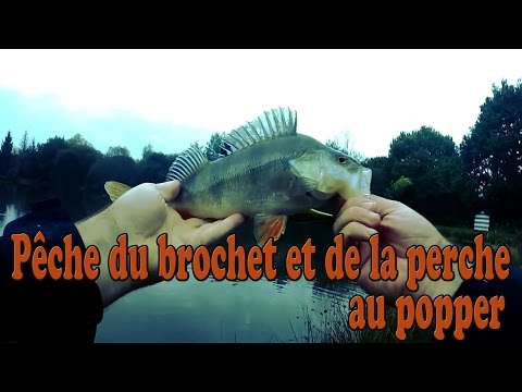 comment prendre poppers
