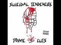 Suicidal Tendencies- Send Me Your Money