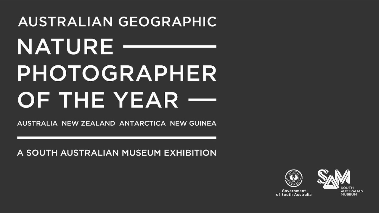 Winners Announcement - 2026 Australian Geographic Nature Photographer of the Year - YouTube
