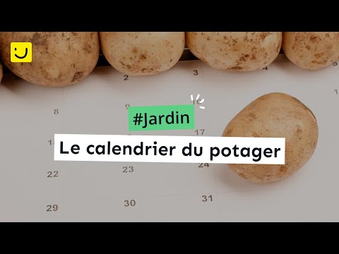 , title : 'Le calendrier du potager - Ooreka.fr'