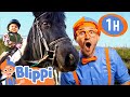 Blippi Learns EVERYTHING About Horses 1 HOUR OF BLIPPI TOYS