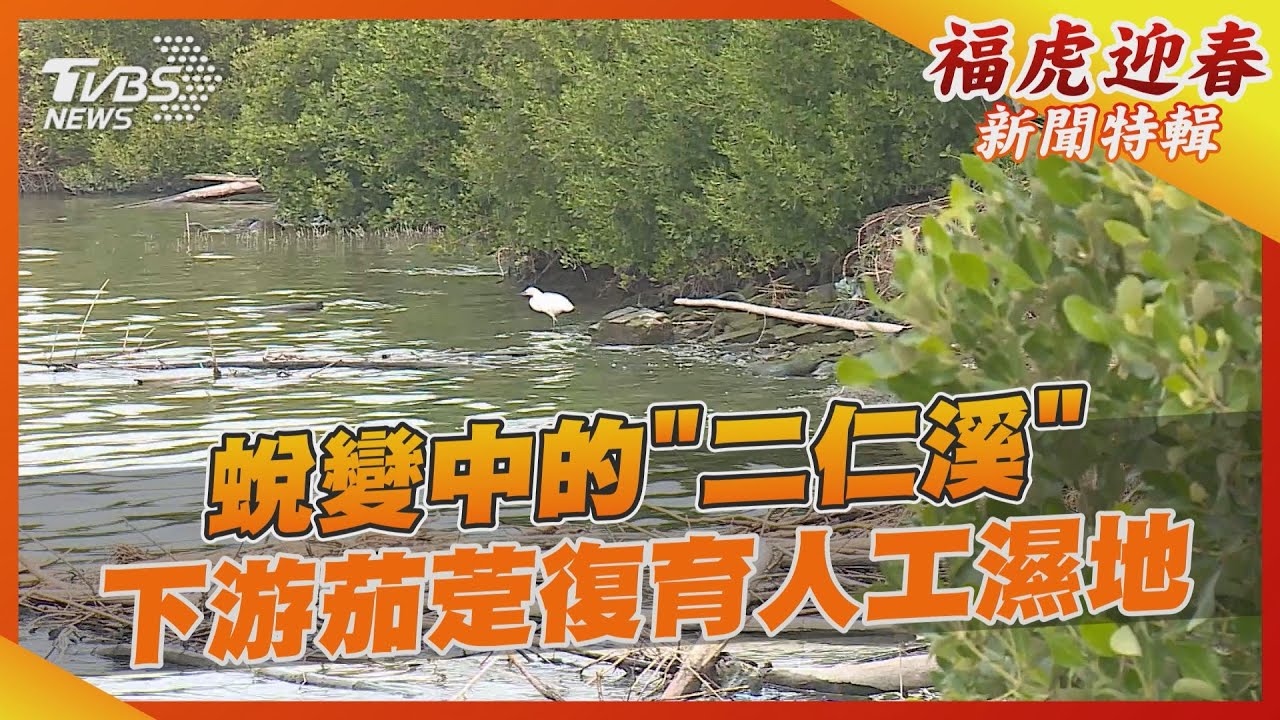 蛻變中的「二仁溪」 下游茄萣復育人工濕地