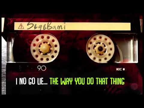 SegeBami. Your Love lyrics Video