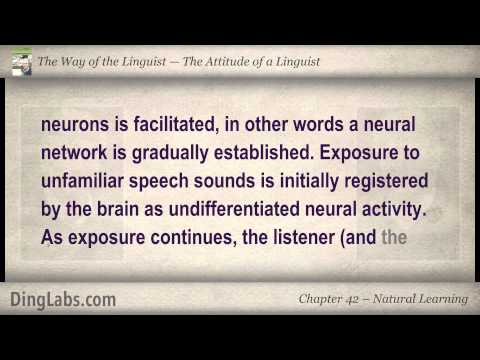 42: スティーブ・カウフマンの言語学者 - 言語学者の態度 - 自然学習 (42: The Linguist by Steve Kaufmann - The Attitude of a Linguist - Natural Learning)