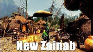 Skyrim Mod: Ashlander Camp New Zainab 1.1