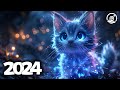 Music Mix 2024 EDM Mixes Of Popular Songs EDM Bass Boosted Music Mix 220